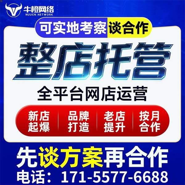 荆门电商代运营