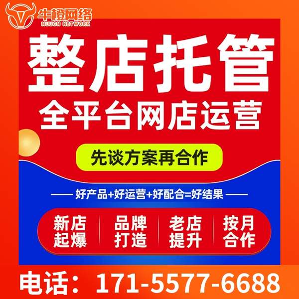 荆门电商代运营
