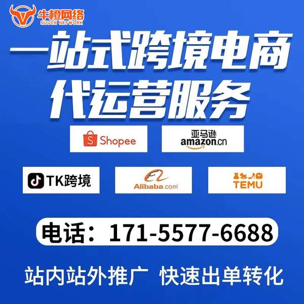 荆门电商代运营
