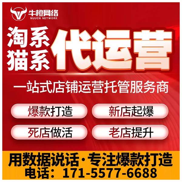 荆门电商代运营